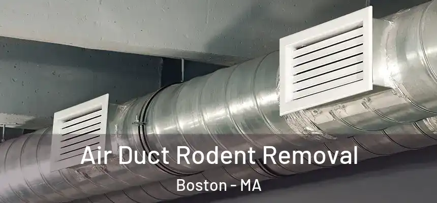 Air Duct Rodent Removal Boston - MA