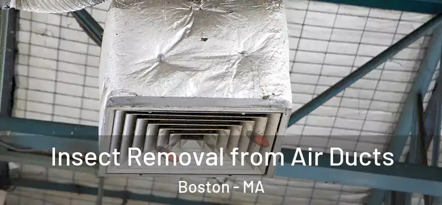 Insect Removal from Air Ducts Boston - MA