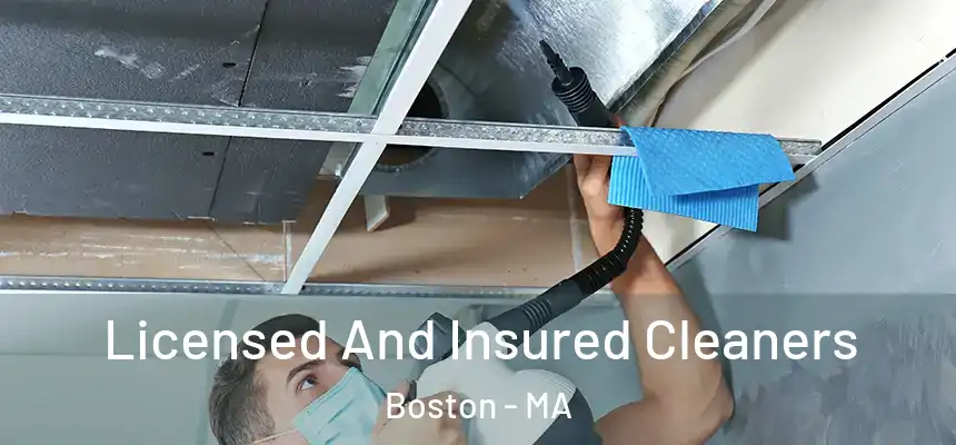 Licensed And Insured Cleaners Boston - MA