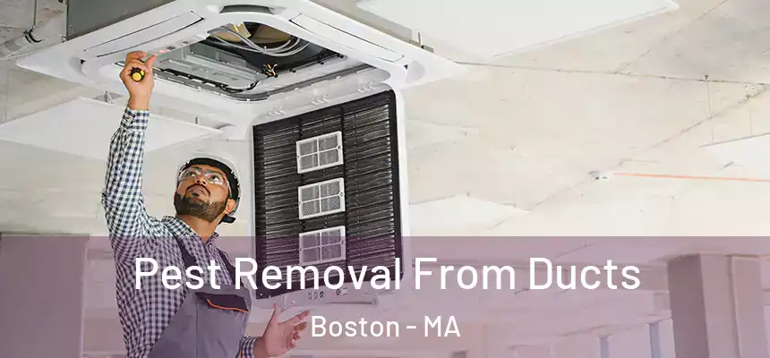 Pest Removal From Ducts Boston - MA