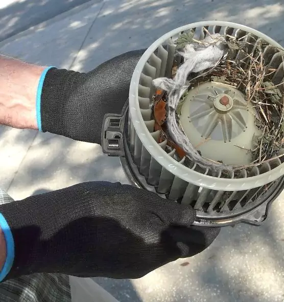 About Air Duct Mice Removal in Boston, MA