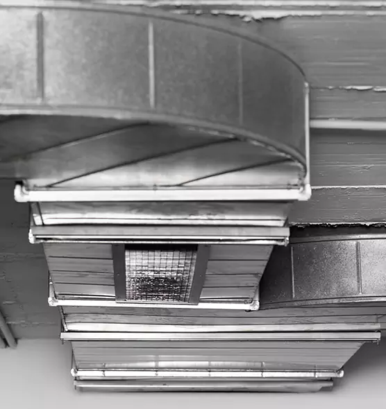 Professional Air Duct Pet Hair Removal in Boston, MA