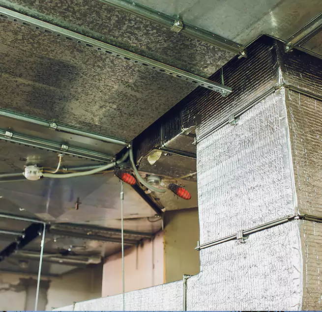 Why Homeowners & Businesses Trust Us in Boston, MA?