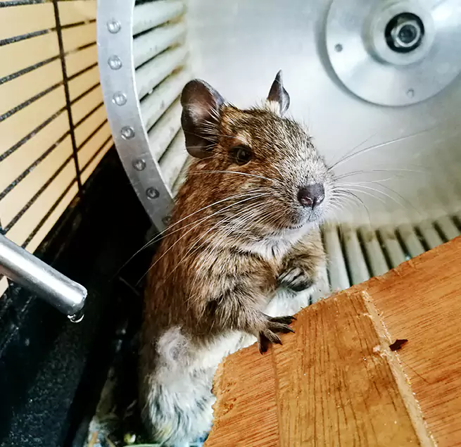 Why Homeowners & Businesses Trust Us Boston, MA