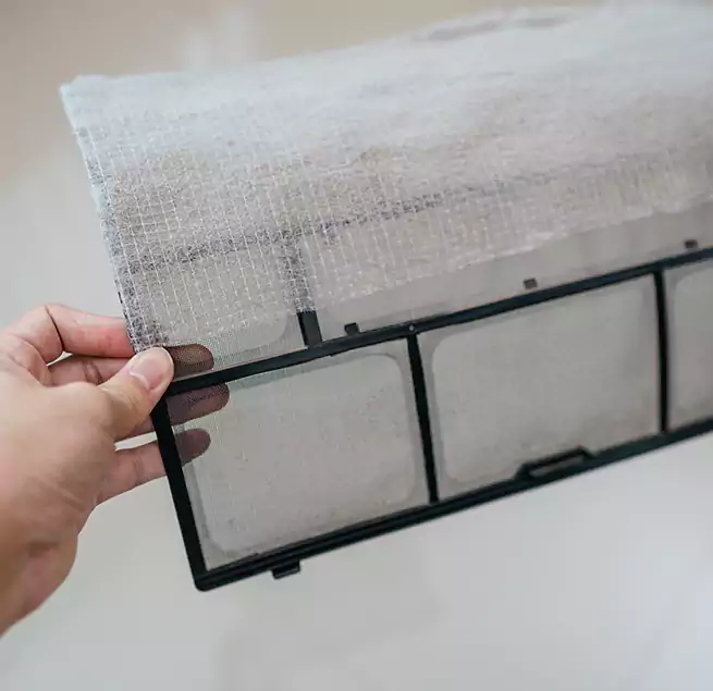 Why Homeowners & Businesses Trust Us in Boston, MA?