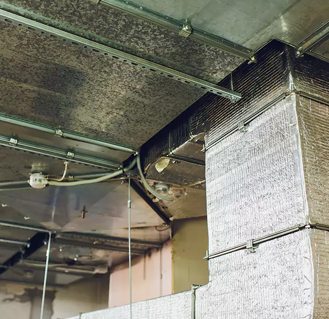 Why Homeowners & Businesses Trust Us in Boston, MA?